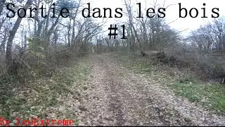 Sortie dans les bois #1