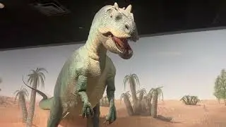 Natural history, Museum of Las Vegas