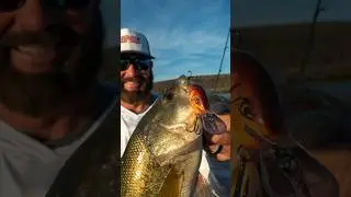 When to fish the Rapala&reg; DT-8 vs. DT-6