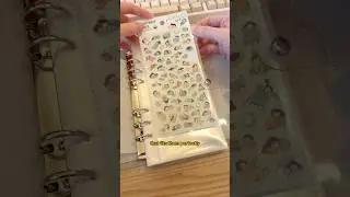 ORGANIZED #stickers #journaling #organizer #stickerbook #stickerbinder #stickerobsessed #stickershop