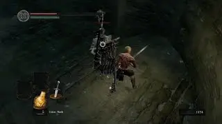Havel's Ring Cheese Method (Backshots)