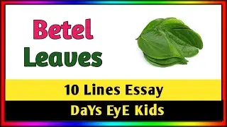 10 Lines Essay on 