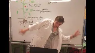 Summer of Science Series - Meet the Educator, Melody Hollinger