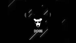 Dogs Claim 26 August | Dogs Airdrop 🤑 - Dogs Price 0.0121 | Dogs Listing On 4 Exchange | Hamster Kbt