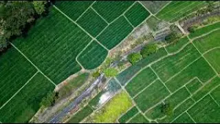 AREA AND PERIMETER IN LAND SURVEYING