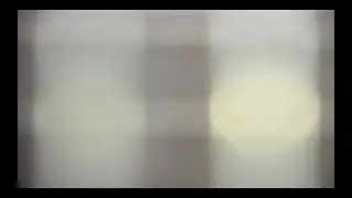 Staar - Dries Laheye