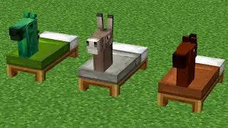 spawn bed horses !