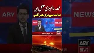 Aleema Khan in Big Trouble - Big News #aleemakhan #imrankhan #pti #youtubeshorts #shorts #arynews
