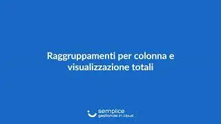 Software Semplice - Raggruppamenti per colonna e visualizzazione totali