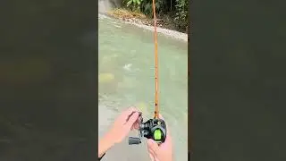 #fishing #amazing#shorts #fish#best #pancingan #subscribe #mancingmania #like #viral #strikeikan