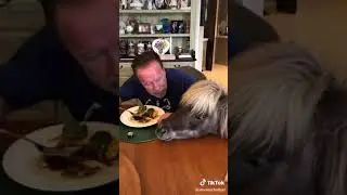 Arnold Schwarzenegger eating with pet donkeys 😂😝💗