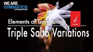 Elements of Synchronised Trampoline - TRIPLE SALTO VARIATIONS