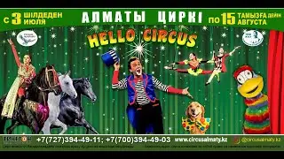 &laquo;HELLO CIRCUS&raquo;