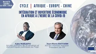 Webinaire avec Kako NUBUKPO - L'intégration économique et financière en Afrique à l’heure du virus