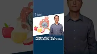 Вот почему яблочный уксус полезен для микрофлоры кишечника!
