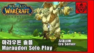 [와우 시대서버] 마라우돈 솔플 Lv60 썬퓨 성기사