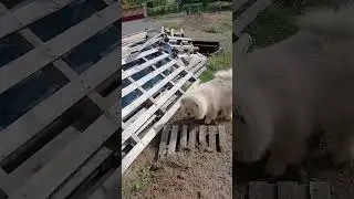 Sylvie nous parle d'Oréo
