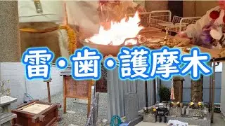 【　2026-1-28の日記  】～鳳の雷井戸と歯痛地蔵となんば法善寺供養～
