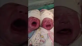 Twins babies first time crying #shorts