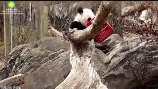 Dad, Mom & Son holding their honey crate tightly 3/6/2019
