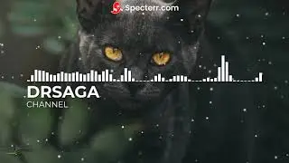 DRSAGA-Broken Romance (Happy Music) | No Copyright Music