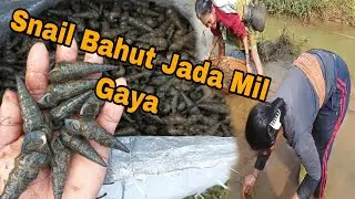 Snail Bahut Jada Mil Gaya// Humari Gao Mein|| #22libasumatary