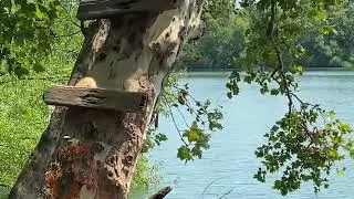 Nature Walk along the Delaware State Park Canal in PA, Falls Township Park Northwards (42 Minutes)
