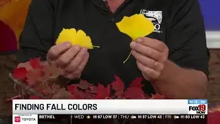 Finding Fall Colors with the Cincinnati Zoo