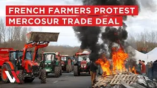 LIVE | French Farmers Protest In Strasbourg Against Mercosur Trade Deal | VERTEX