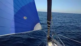 Mini Transat 6.50