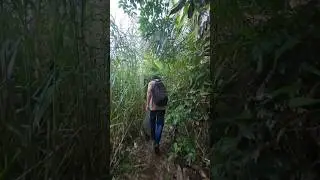 😱🐍#fishing #snakeheadfishing #shortvideo #shorts #feed #alappuzha #varal #shortsfeed #feed #shorts
