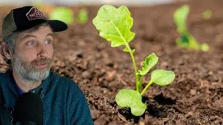Deep Compost Mulch and Soil Testing + How Much Marketing Do Farms REALLY Need