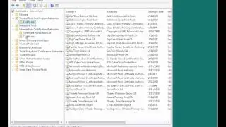 Security+5e Lab6-3: Viewing Digital Certificate Revocation Lists (CRL)