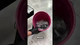 &iquest;Qu&eacute; hacen los barberos con las navajas de afeitar usadas?