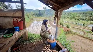 Hidup di desa, Liwetan di saung sawah bikin betah gak mau pulang