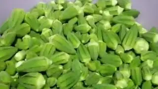 تخزين البامية من السنة للسنة ولا اسهل من كدا🫣😊✌️♥️