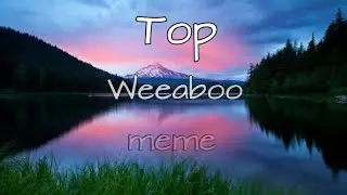 Top 10 animations [Weeaboo meme]