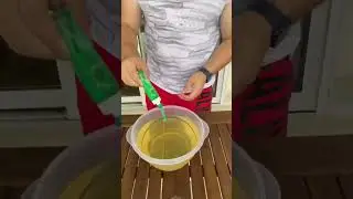 I Made a DIY Fly Trap and Trapped 1,000 Flies Inside!! 😱 #shorts #comedy #diy #shortsmaschallenge
