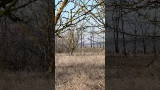 Забіжу наперед,продовження буде дуже цікаве😊👍#nature #blog #goose #bessarabia #врек#