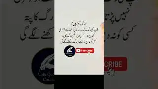 Best Reality base Quote in Urdu #urduaqwal #urduquotes #urdupoint #ytshorts #shorts #realityoflife