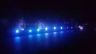 Lights off the pond at Cincinnati nature walk