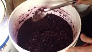 Fermentation: The Beginning of the End