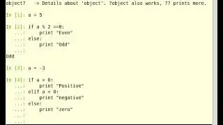 Conditionals in Python - Tutorial [English]