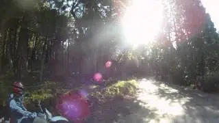6 Miami Trail - Cutting new trail around down tree.MP4