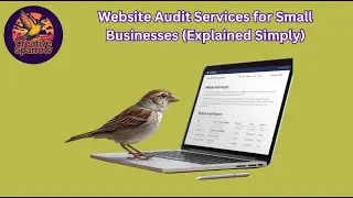 Website Audit Services for Small Businesses (Explained Simply)