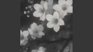 meaning