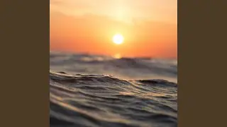 Get In The Water