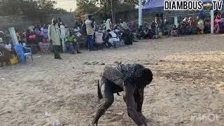 ENTRE DE MBAYE ORDI A BASSOUL LE 11 JANVIER 2026 