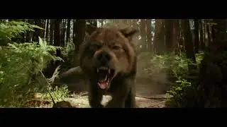 Twilight wolves-Hymn for the Weekend