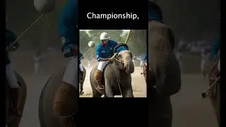 Did you Know? Elephant Polo World Championship #shorts
